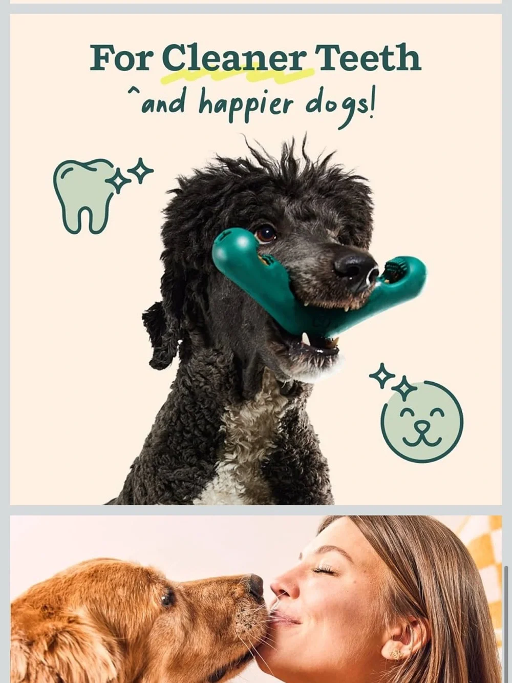 Woof Bite n' Brush Dental Toy & Refill treats Dark Green